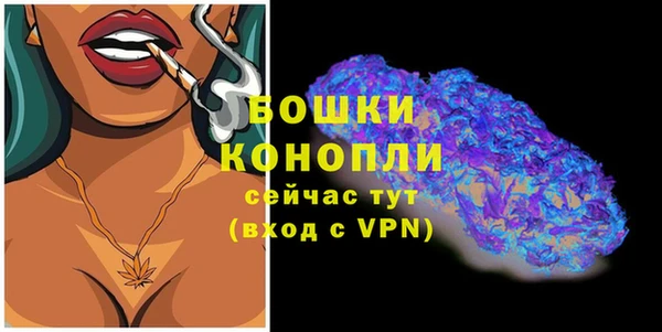 Альфа ПВП Гусиноозёрск