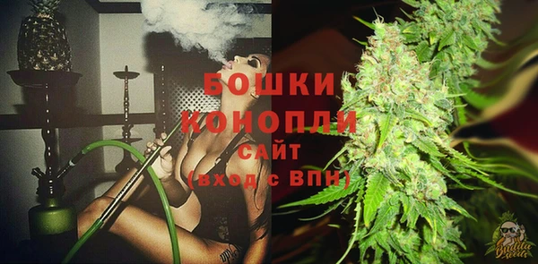 Альфа ПВП Гусиноозёрск