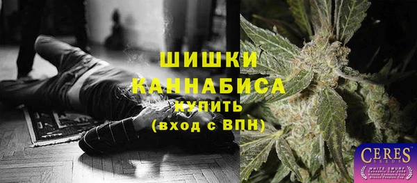 Альфа ПВП Гусиноозёрск