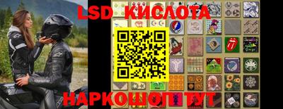 дживик Гай