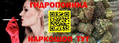 дживик Гай