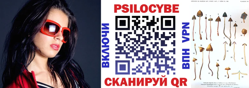 Псилоцибиновые грибы MAGIC MUSHROOMS  сайты даркнета телеграм  Москва  купить наркотики цена 