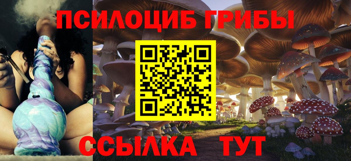 Псилоцибиновые грибы Cubensis Москва