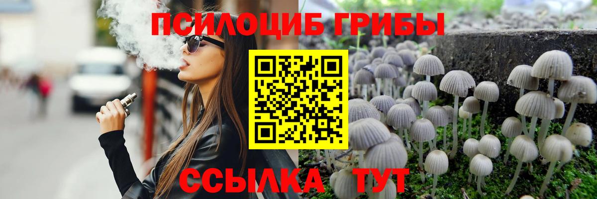 Псилоцибиновые грибы Magic Shrooms  Вход с VPN  где можно купить   Галлюциногенные грибы Psilocybe  Москва 